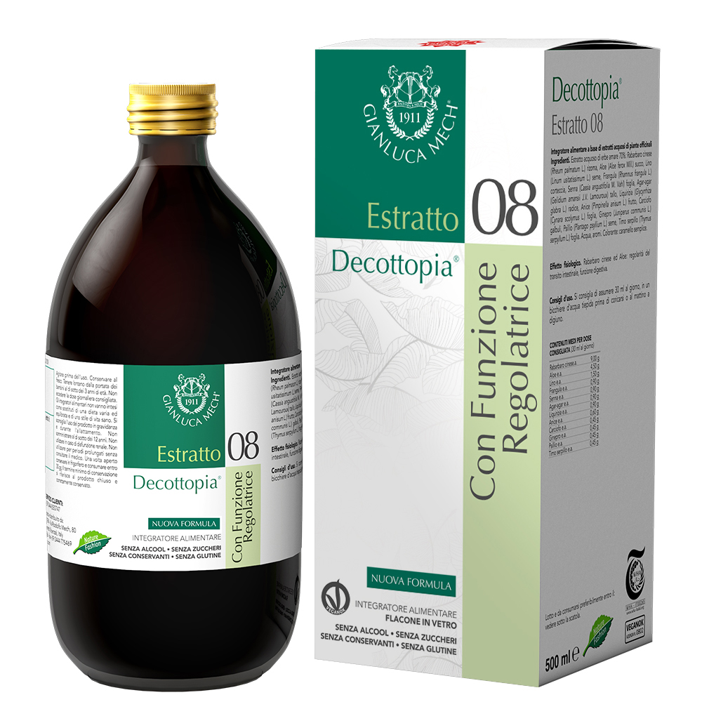 08 regolatrice